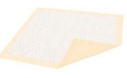 Dignity Ultrashield Premium Underpad 30 X 36 Inch Disposable Fluff / Polymer Moderate Absorbency